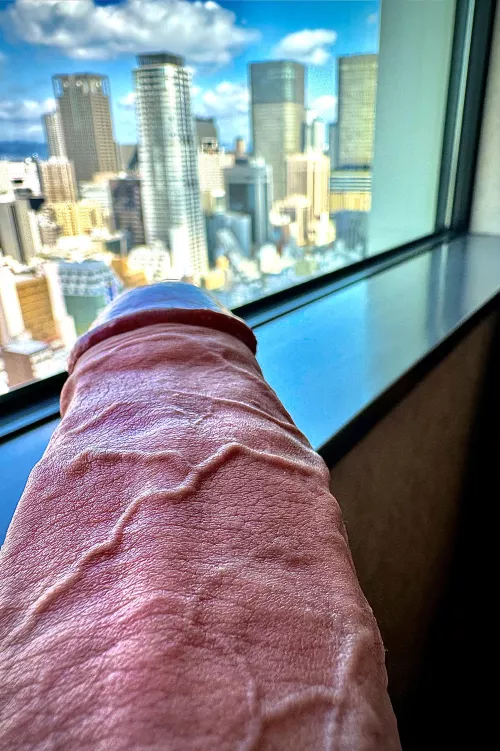 Enjoy the view or take care of my dick? by letsegooo