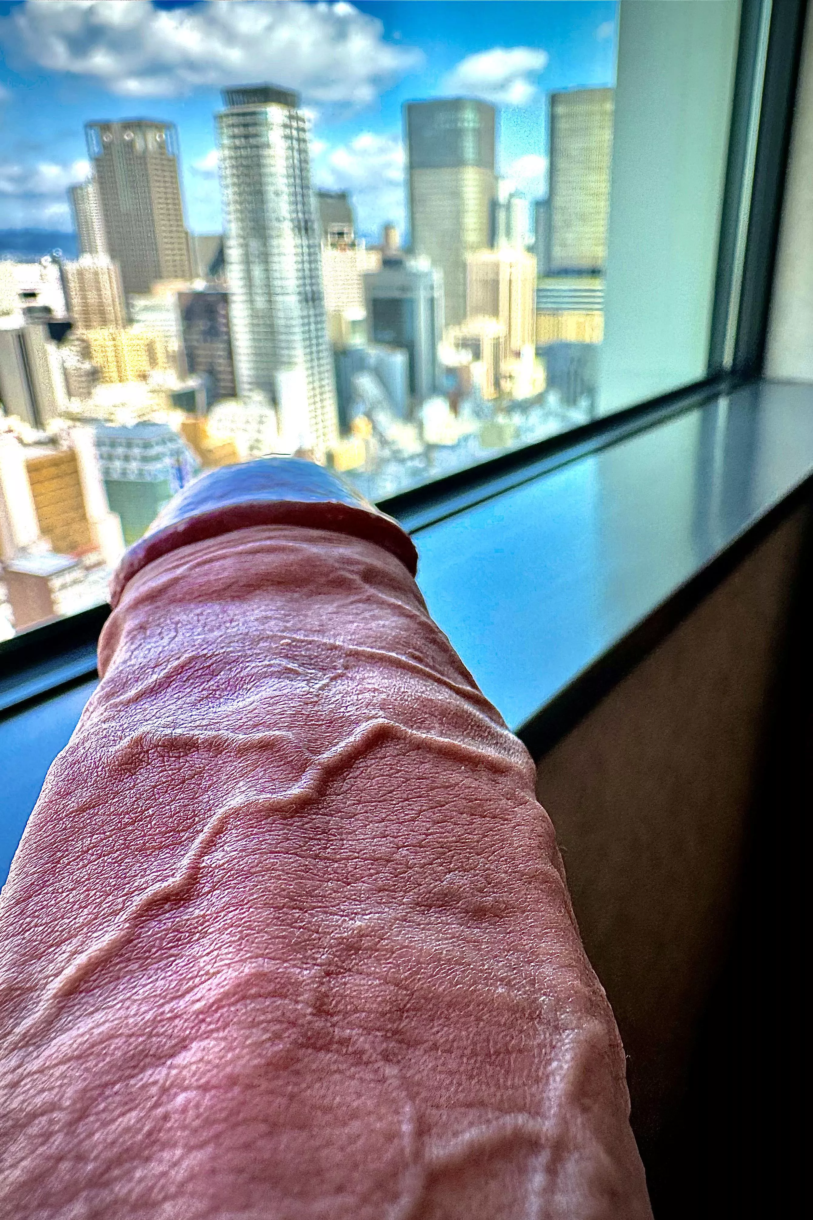 Enjoy the view or take care of my dick? posted by letsegooo