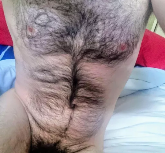 Fur everywhere! by angrywolf74