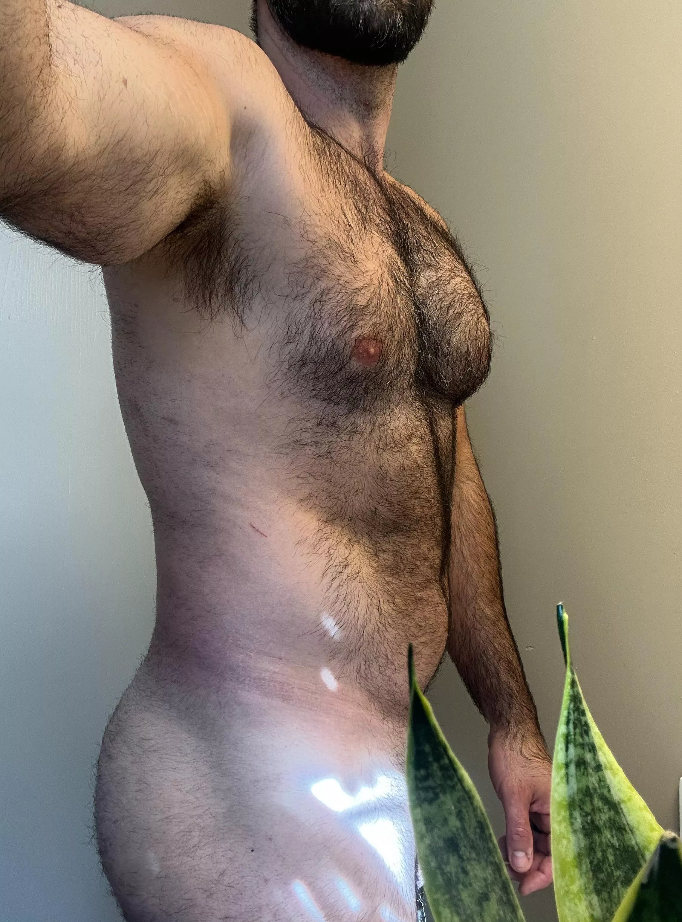 Hairy chest au naturale posted by Healthy-Magician-172