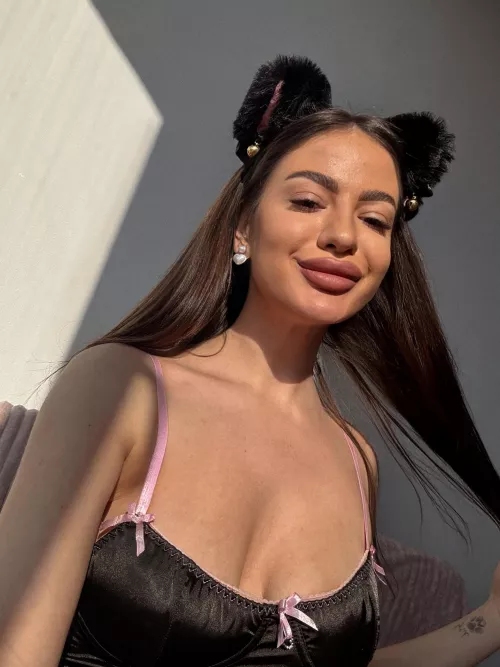 happy cat feels that spring has come and everything has become better by hourlypass