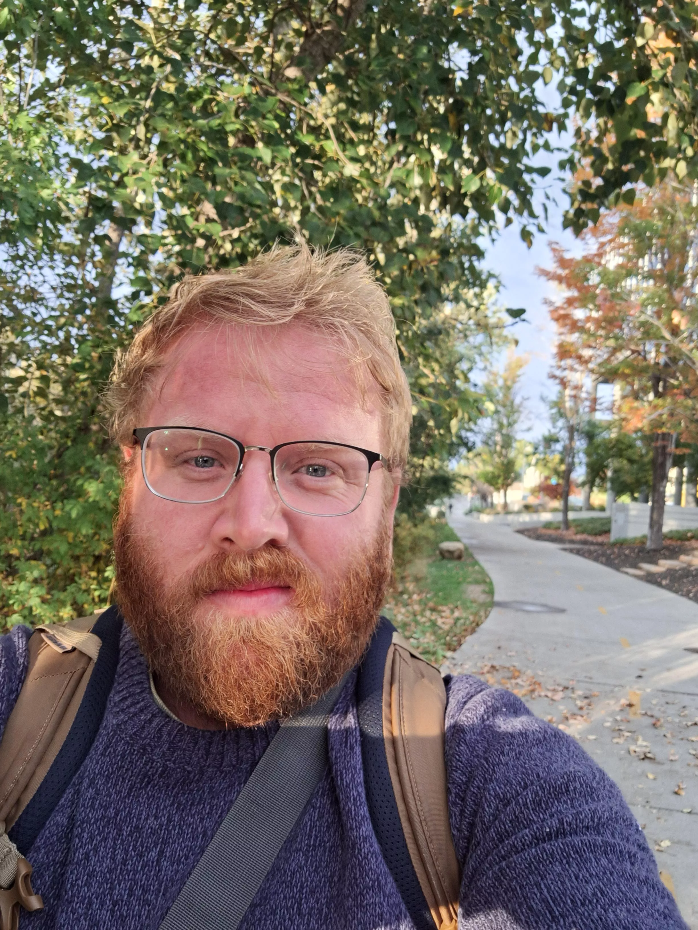 I think attempting to get a PhD takes a certain level of madness. posted by IchTanze