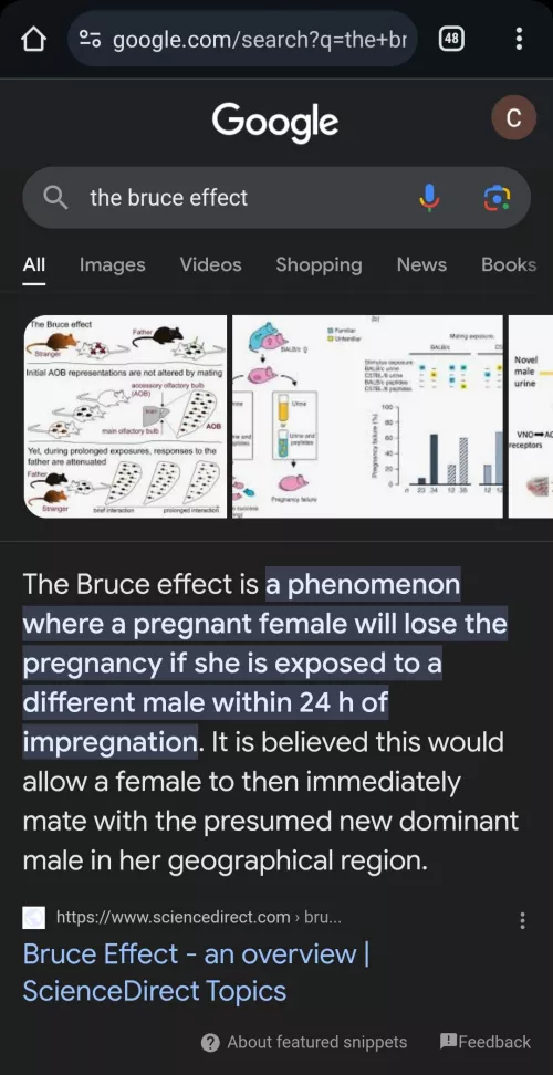 Just nature doing NTR-ish things by Greenfield_Guy