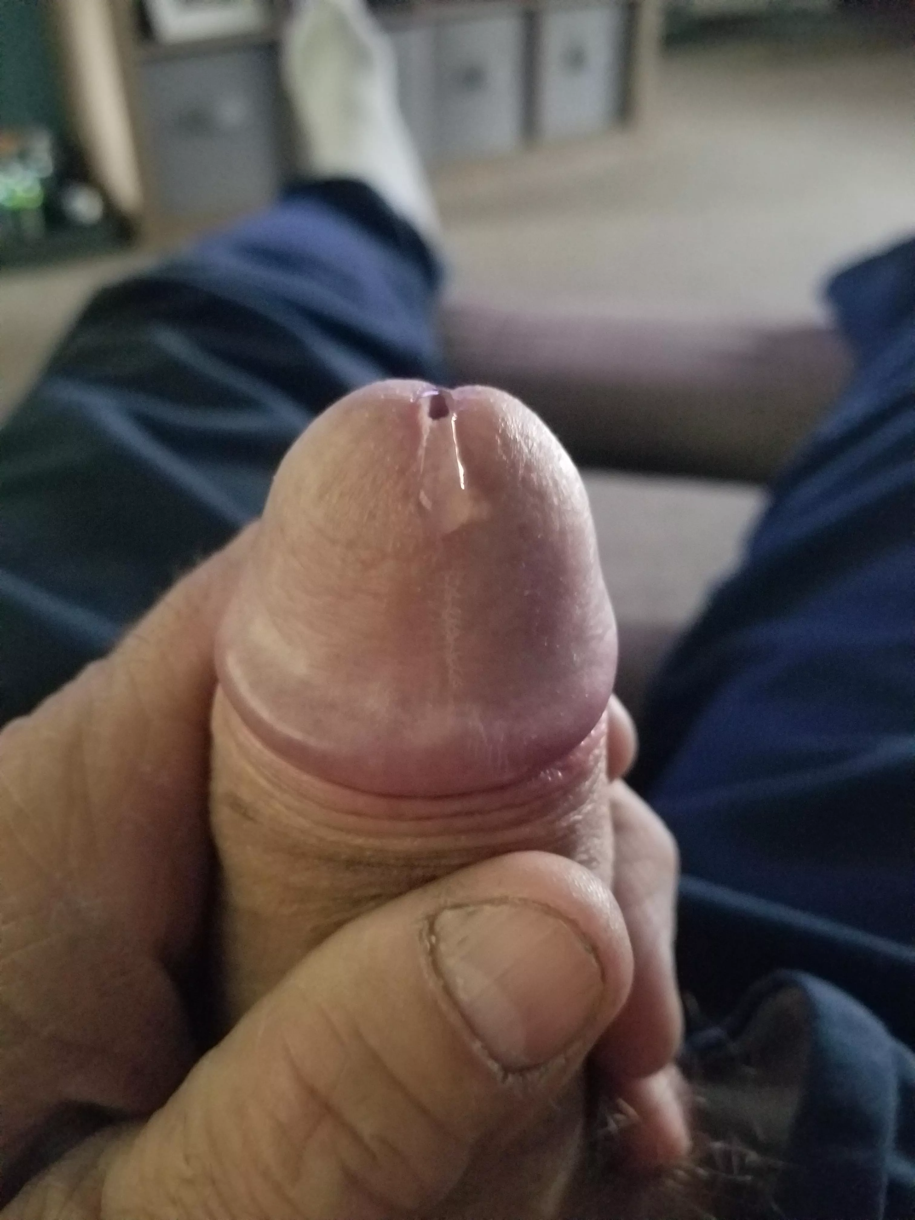 Love precum posted by SomewhereLess8040