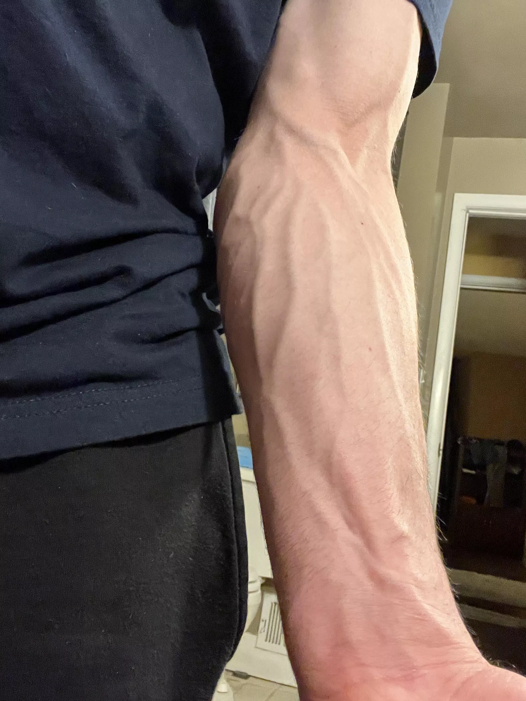 My forearms in the morning… posted by HomeskoolPromKing