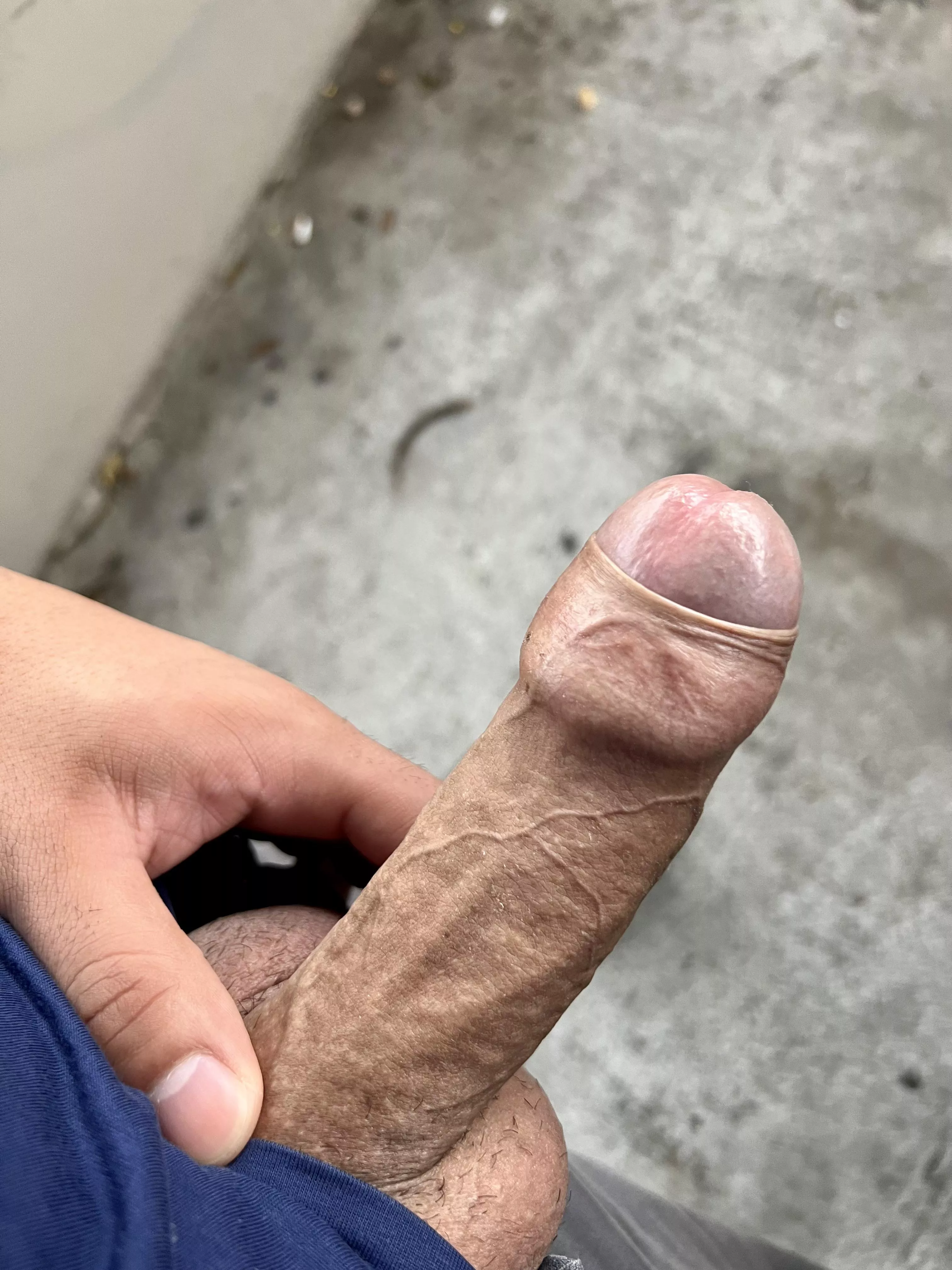 Peeking out posted by _hammer_head_boy