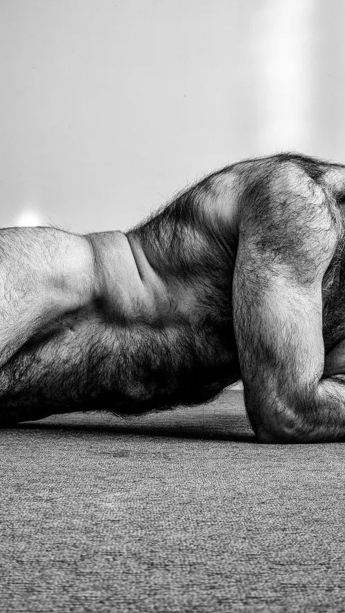 Plank by Prestigious-Wash8339