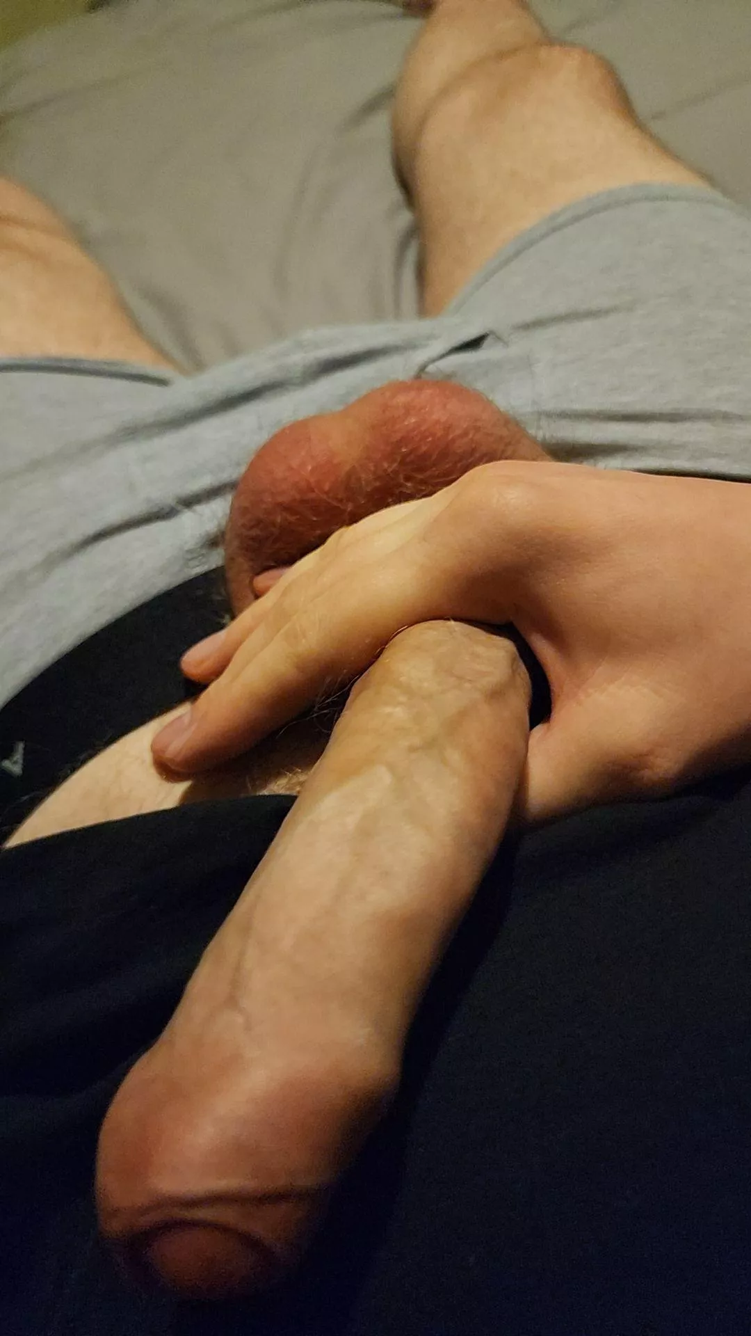 Playtime  posted by Robert_1234