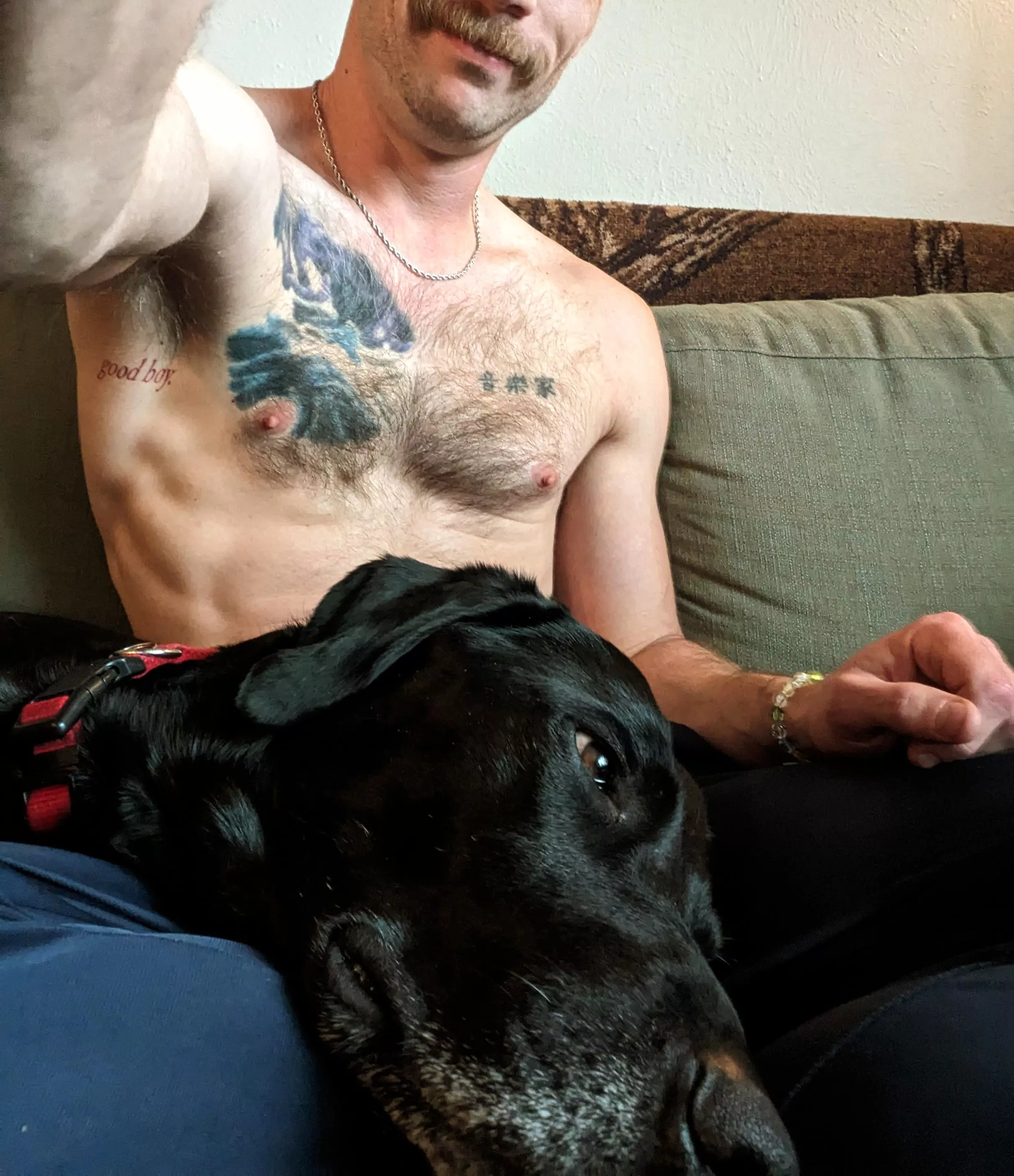 Rainy Morning Couch Cuddles posted by theganjaoctopus