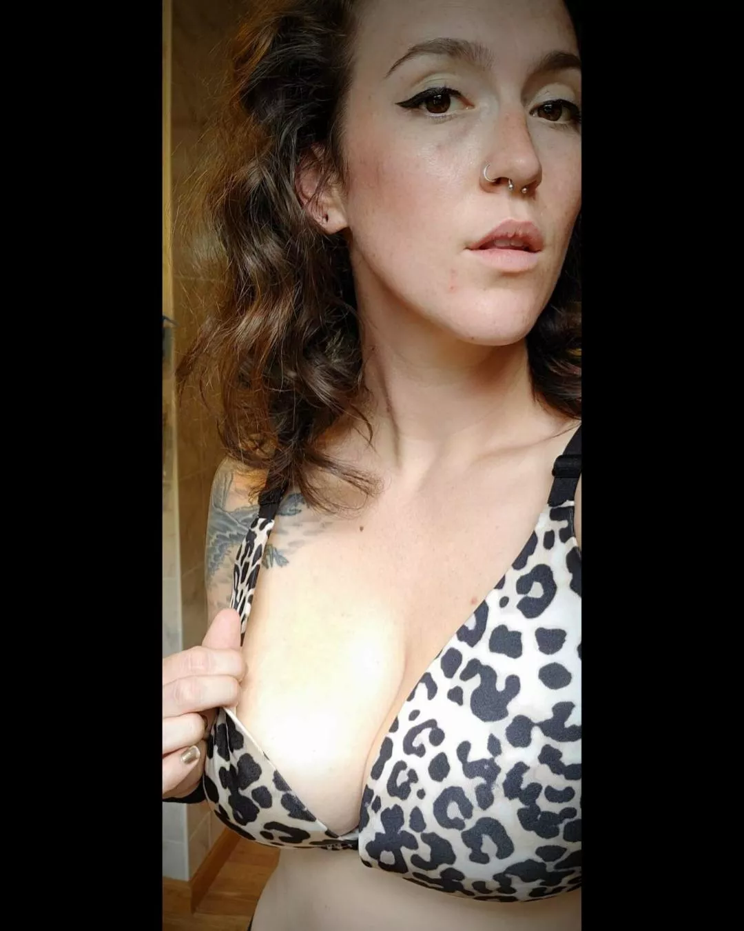 Saturday caturday posted by dabeefqueen92