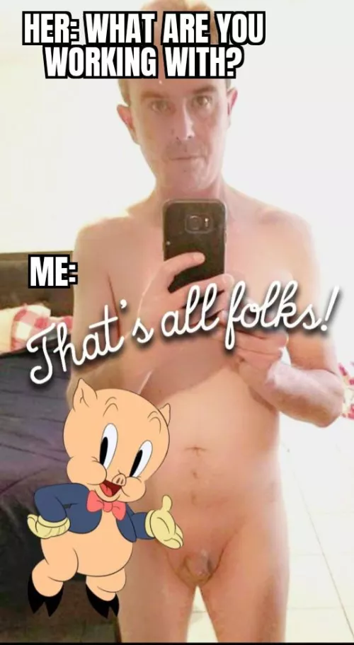 That's All Folks! by rottenmemez