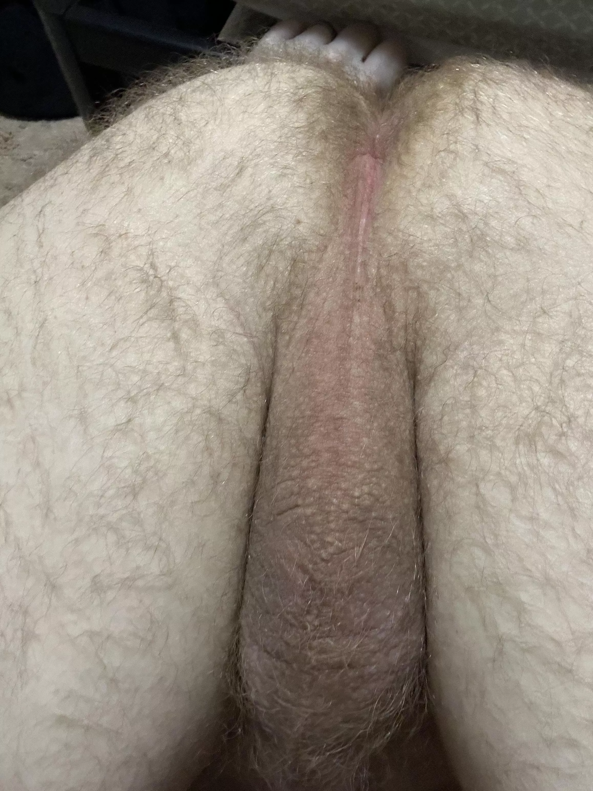 Too hairy or perfect? posted by aveash