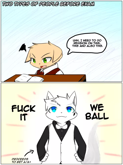 Two types of people before exam  by Kurosh1ro