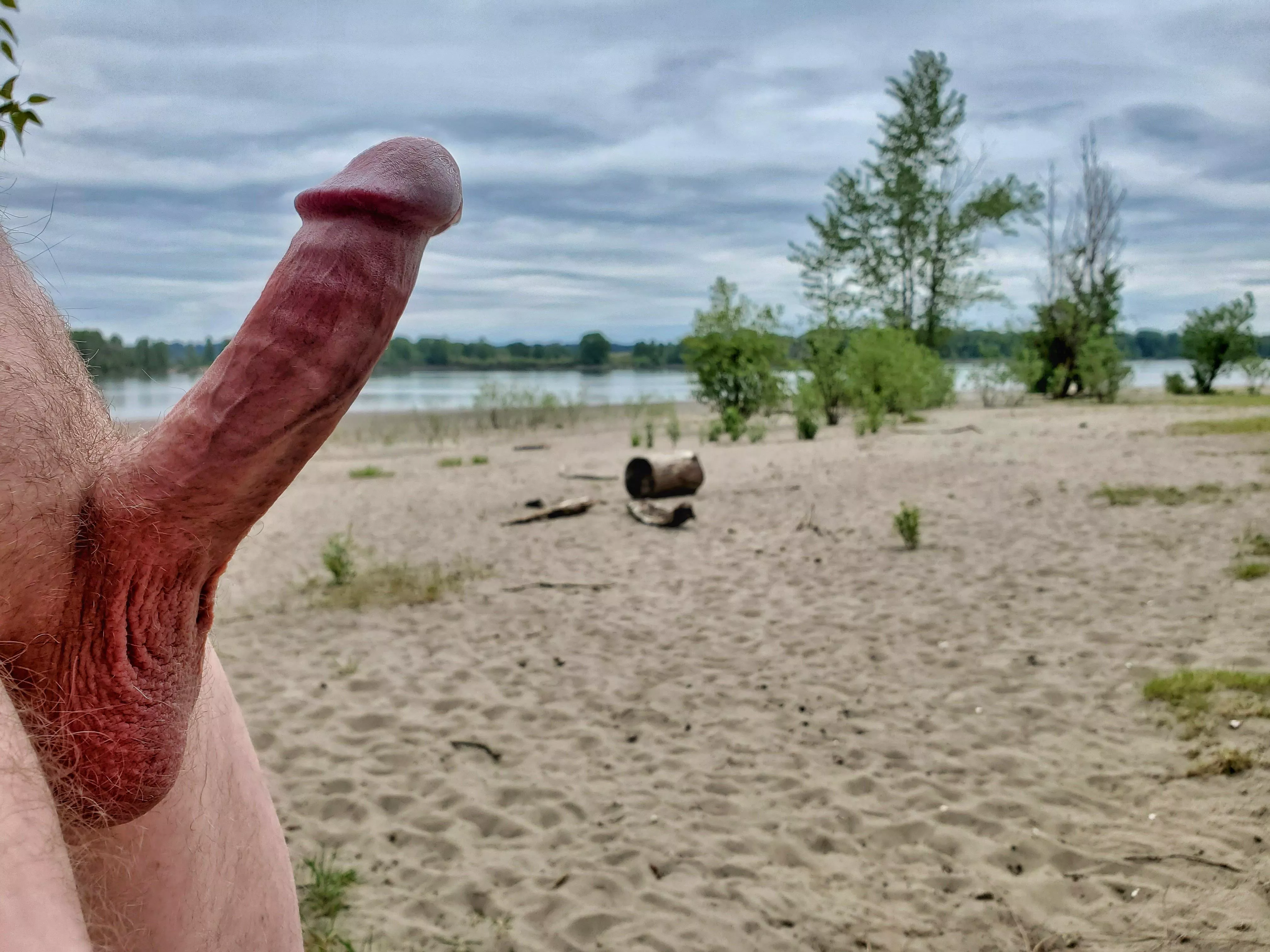 When you get the nude beach to yourself posted by NetflixQ4