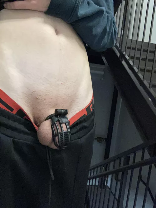 Wore my cage to my exams today :3 by NickleFemboy