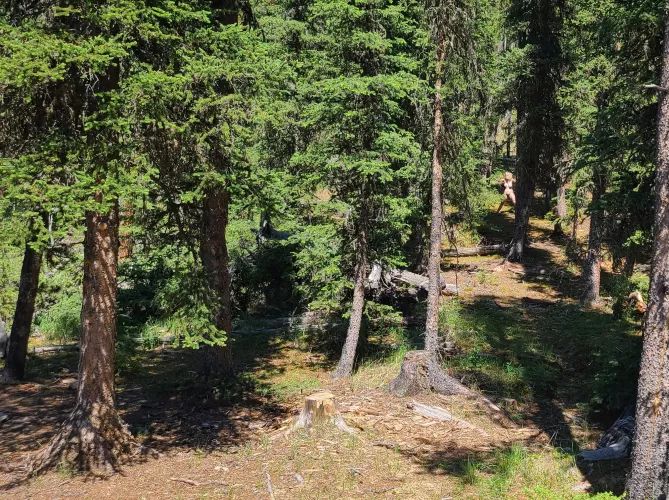 Would you notice me tied up 25 meters from the edge of the parking lot? [oc]  by AbbyFoxe