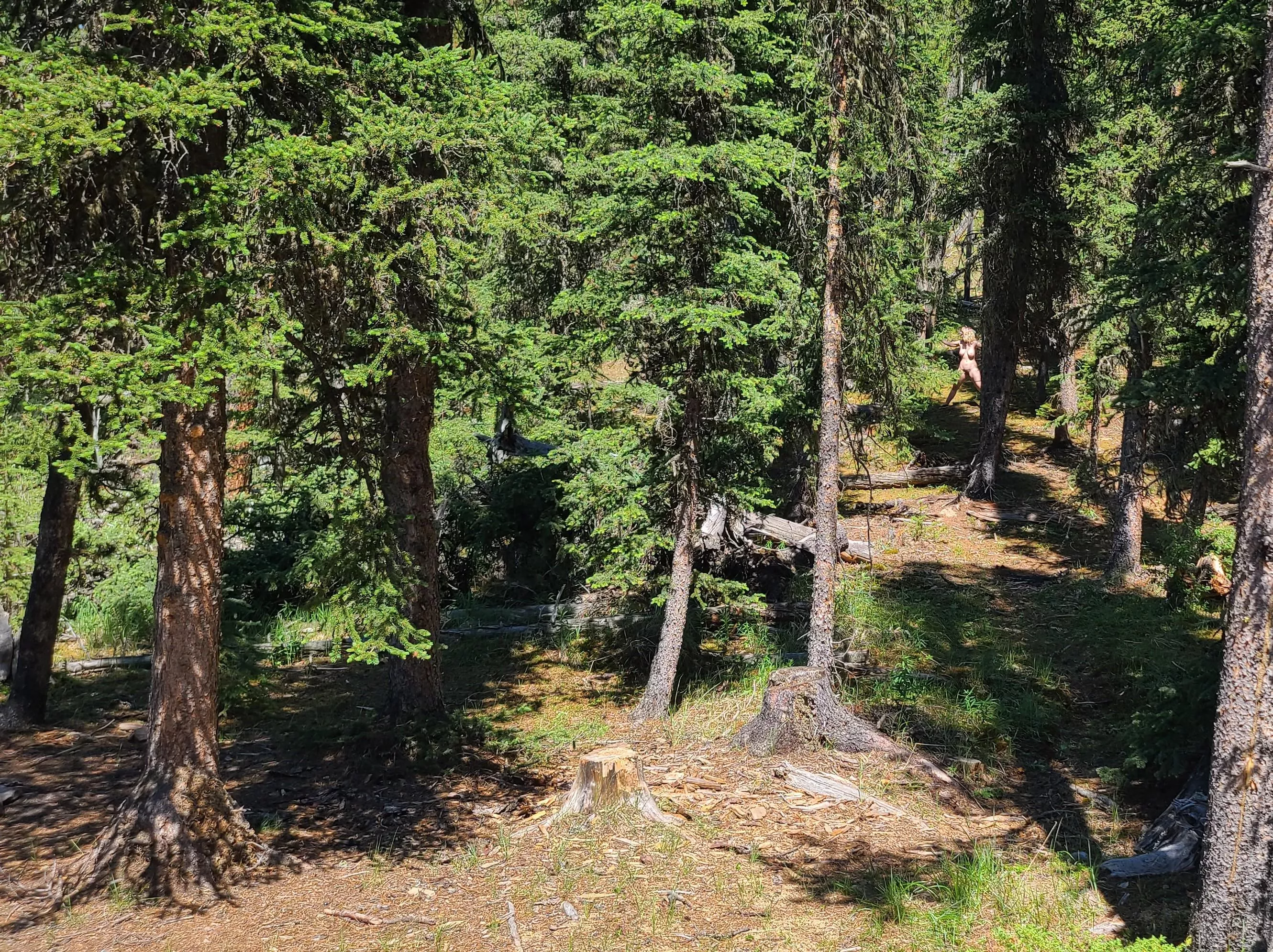 Would you notice me tied up 25 meters from the edge of the parking lot? [oc]  posted by AbbyFoxe