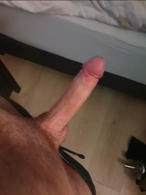 Would you suck it or fuck it? by FryzzleMyFry