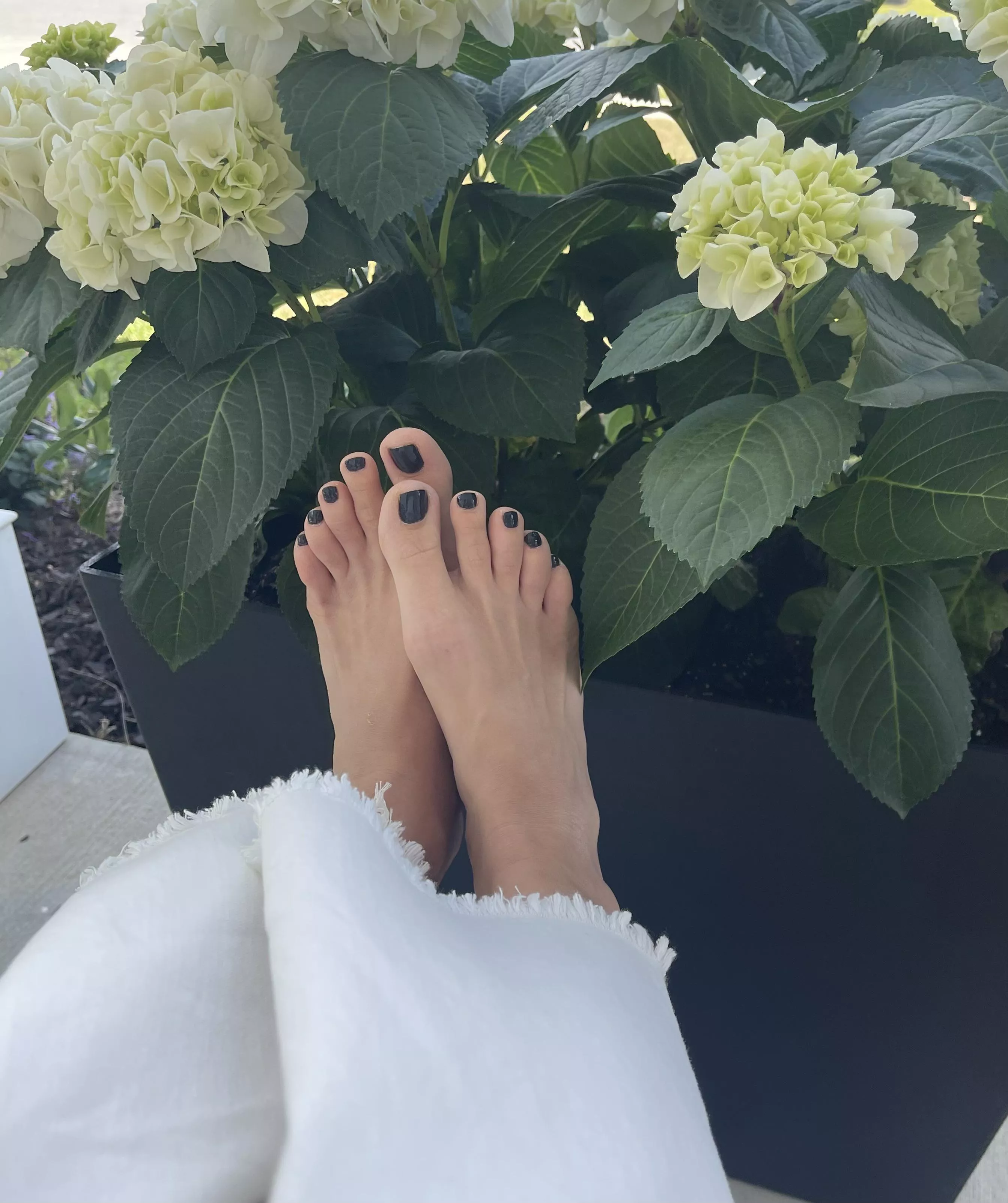 You like my new flower pot? posted by MomToesBest