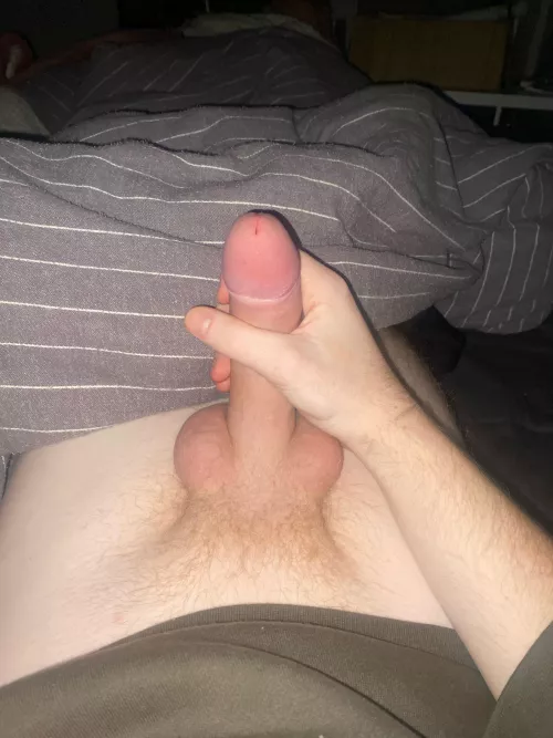 20m humiliate me with ur big cock then fuck my gf snap: austen_folkner by Throwawaynum16