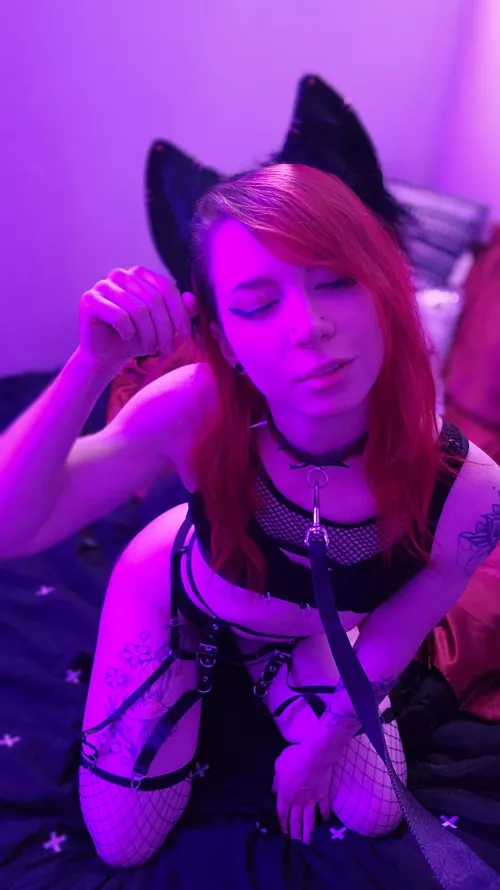 A good pet always wears a collar, no?  by LunarFox_