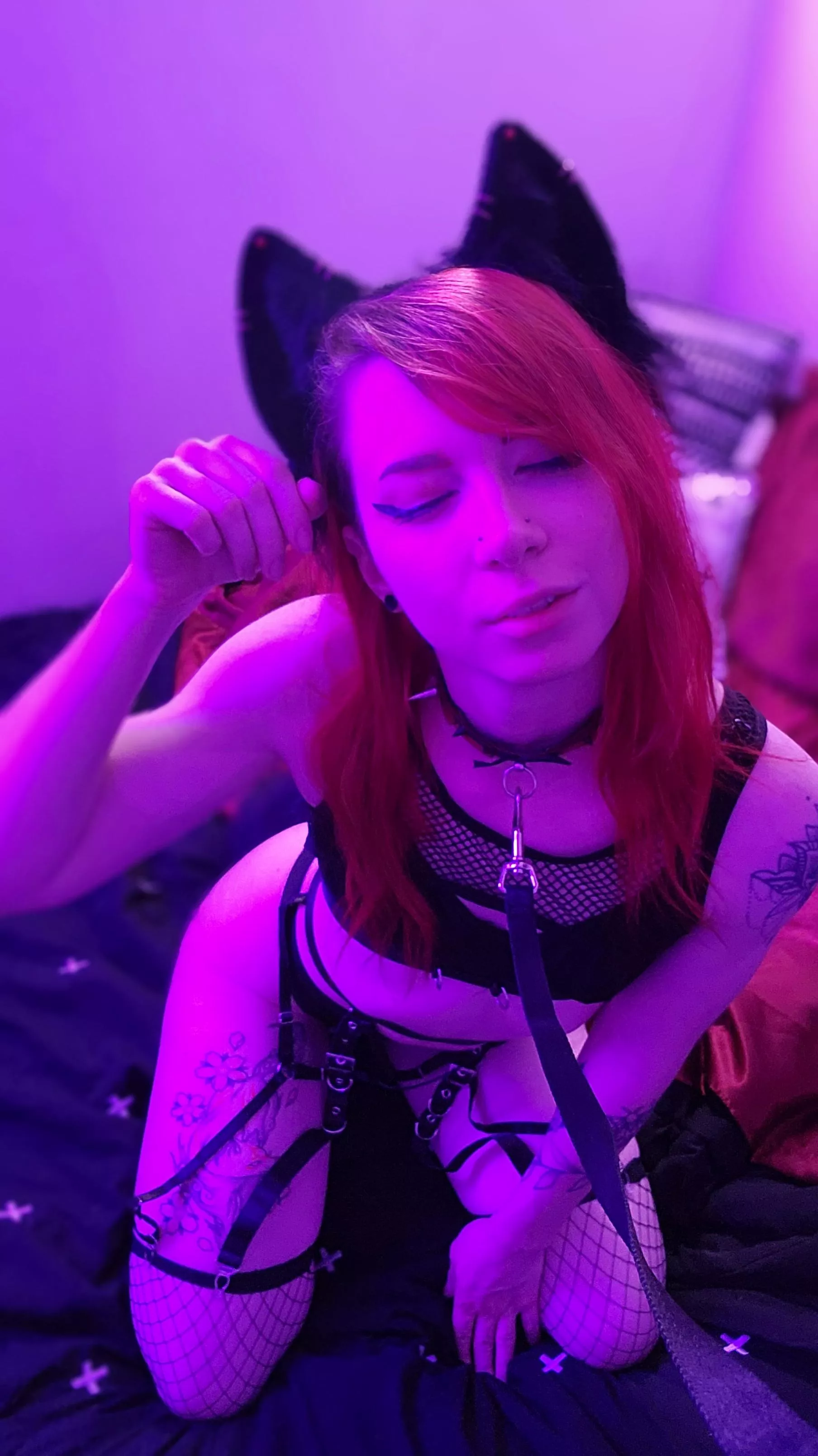 A good pet always wears a collar, no?  posted by LunarFox_