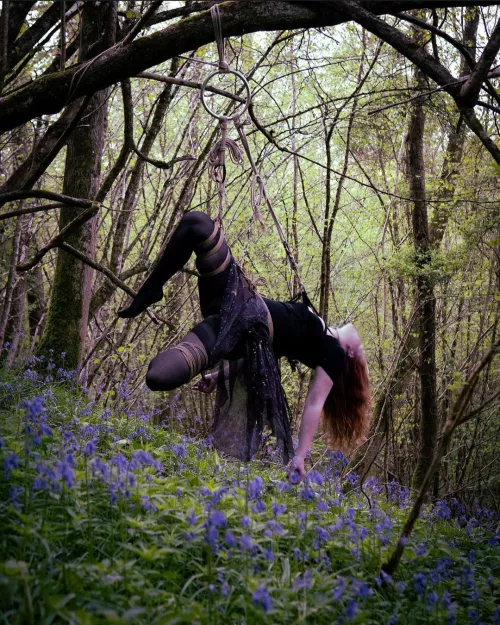 A nice suspension in the bluebells  by quite_deviant