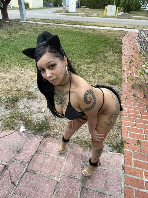 Bahamas Promises by Da-Donkey69