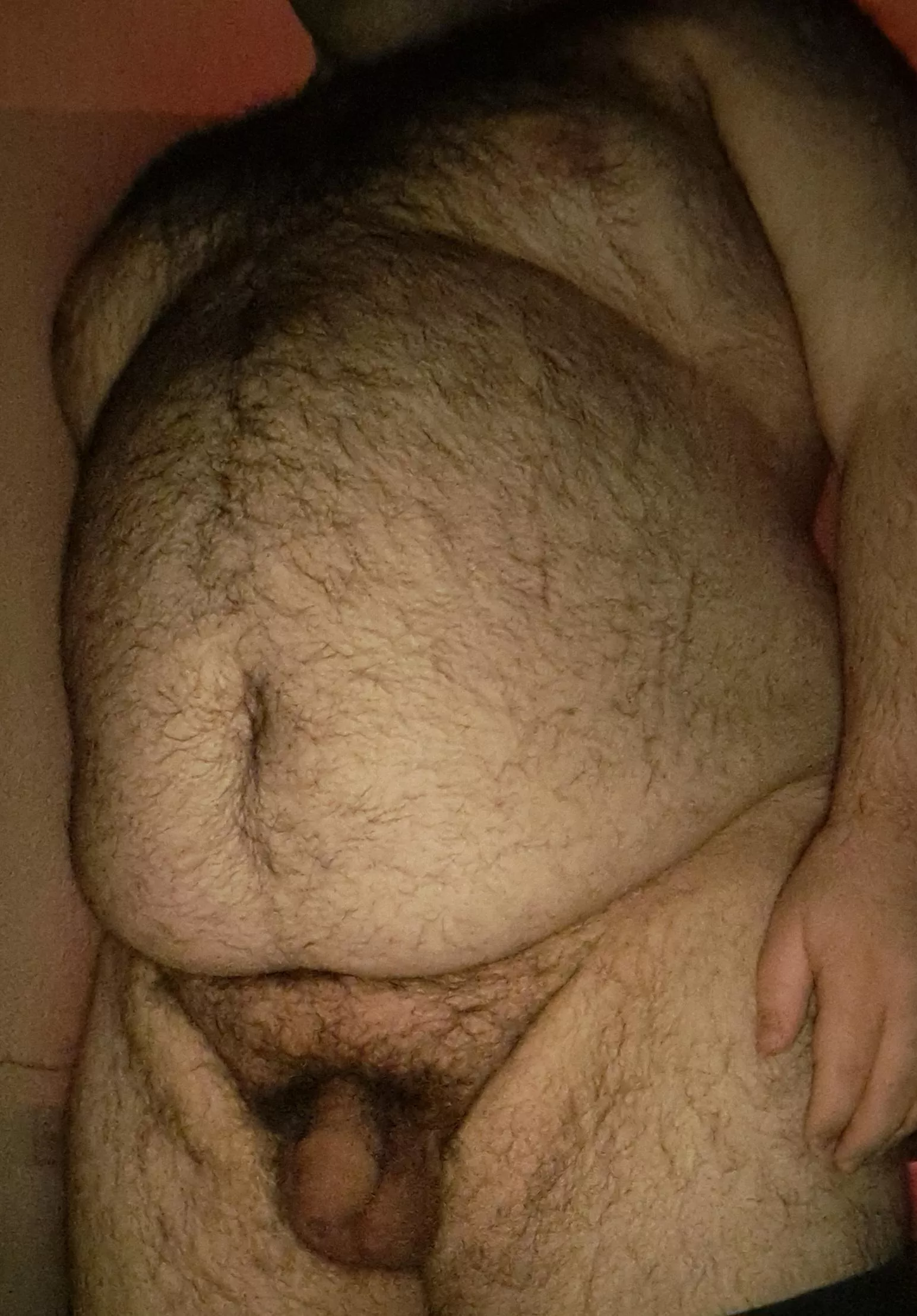 Can't tell where the pubes end and the body hair begins... posted by straightteddybear