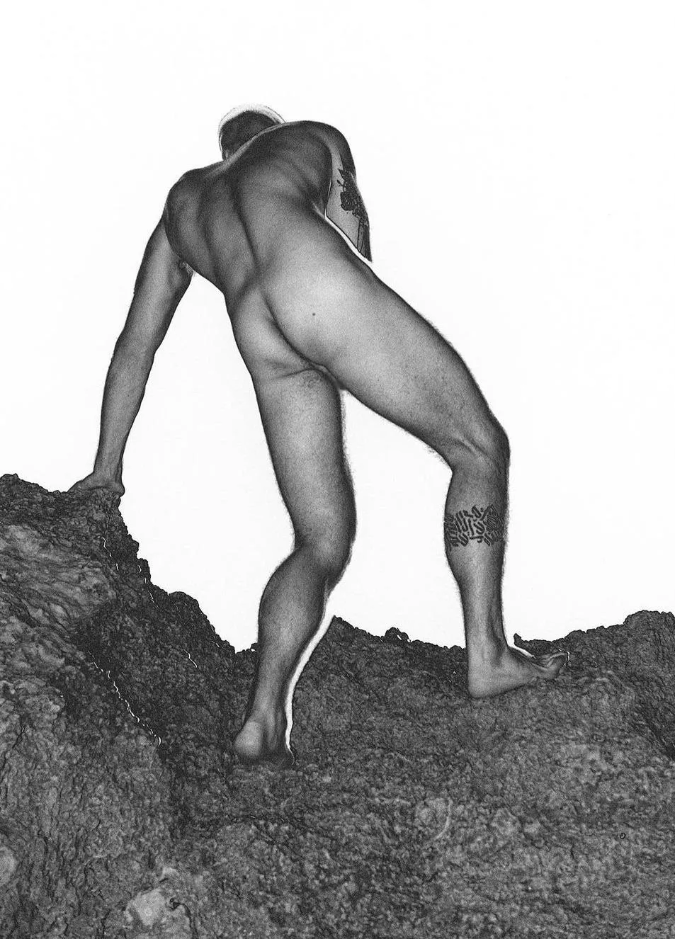 Do you guys like artistic asses in here? posted by HaKochav