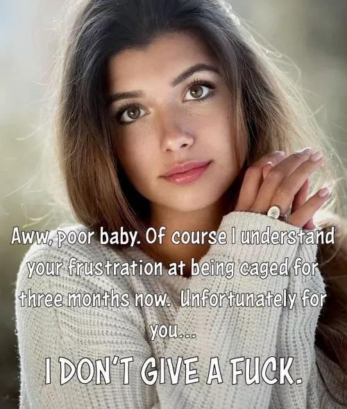 Don’t be fooled by those big brown eyes. She will slowly destroy you.  by biffa_b_