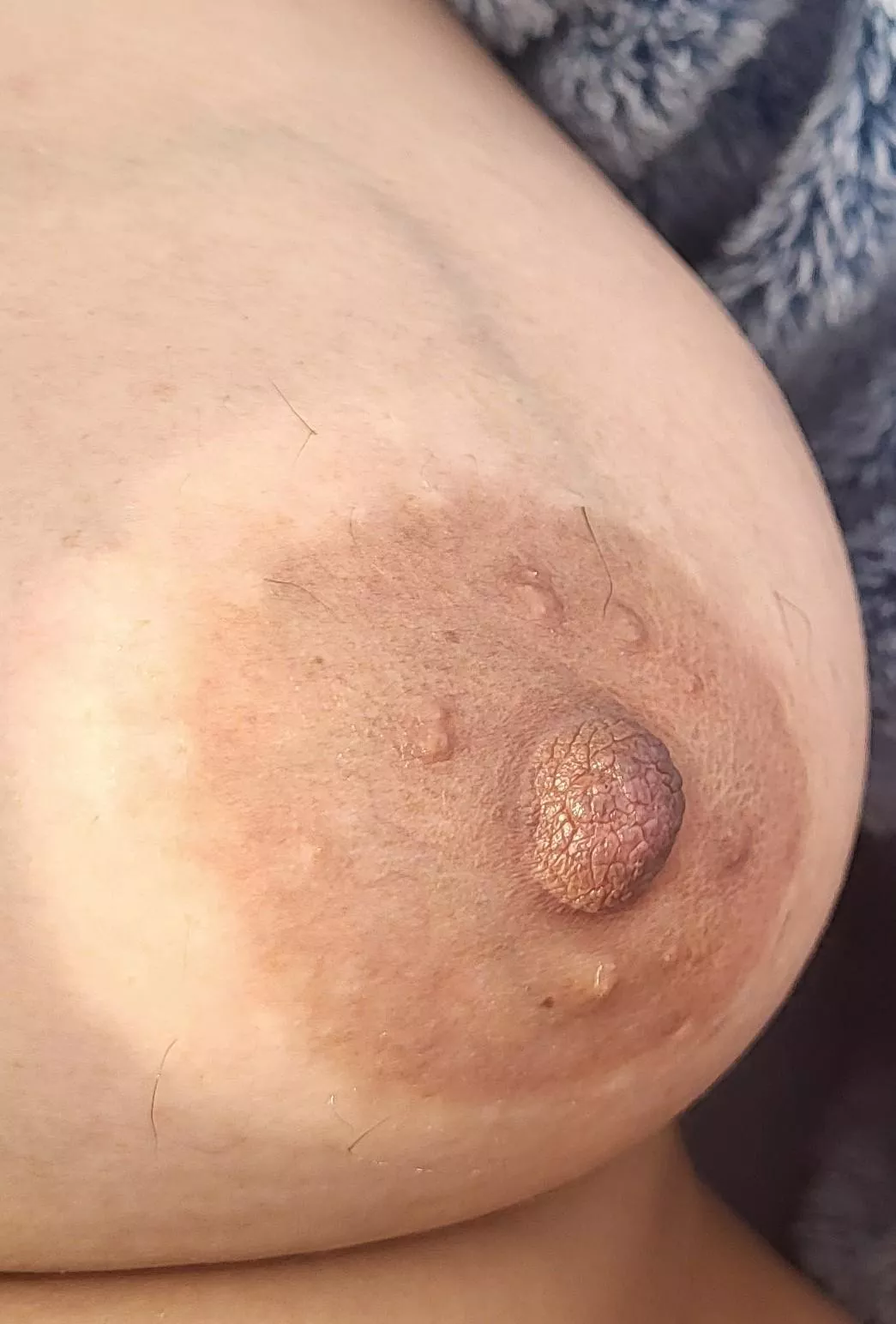 How hard can you get? posted by Ok-Highway3338