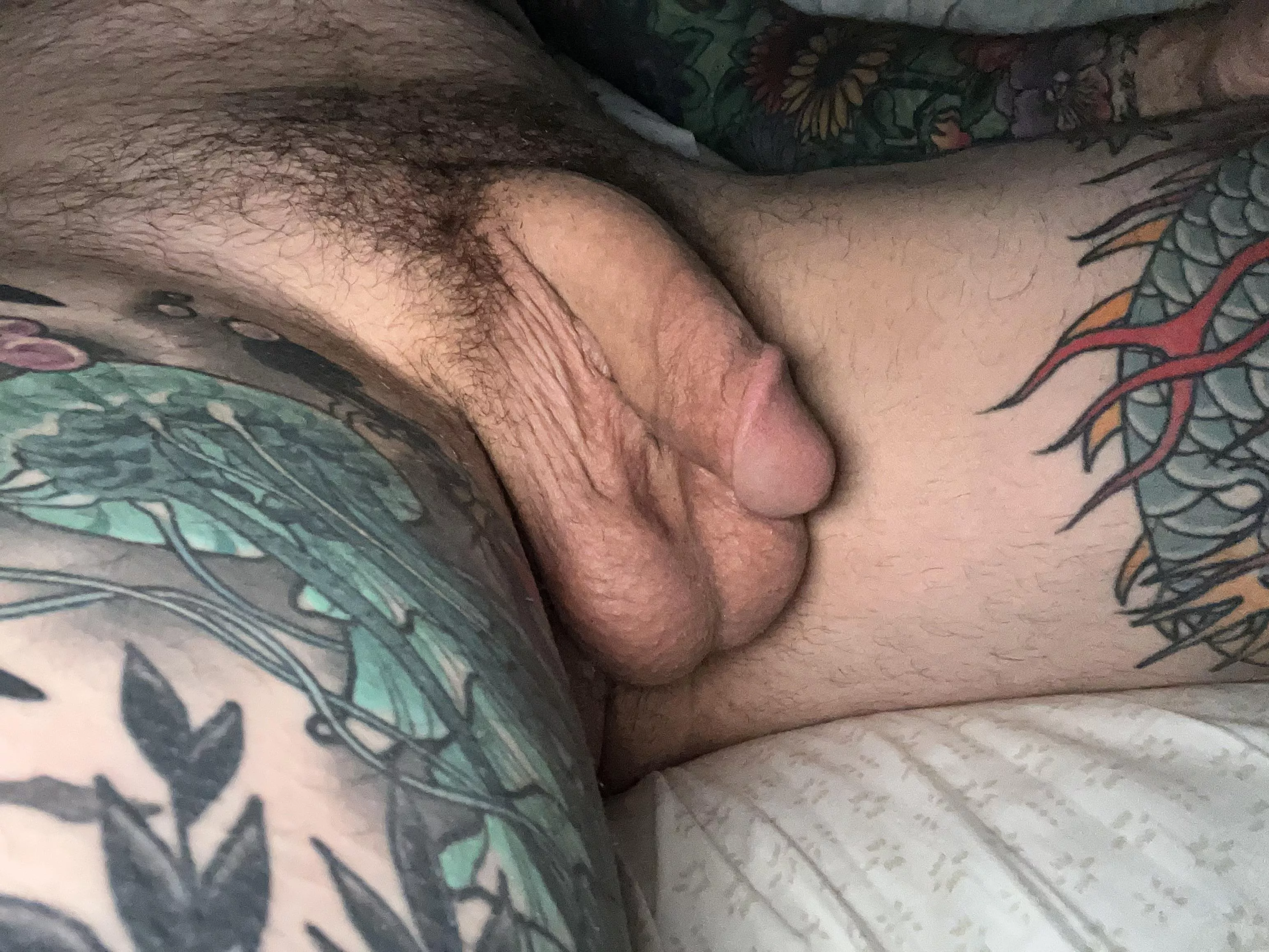 Howdy  posted by Sea_Bee_5732