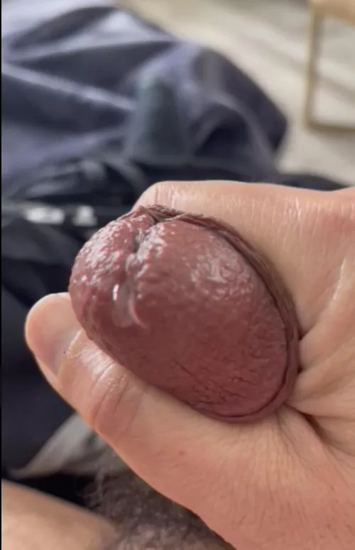 Love making penis nectar by mistergroom71