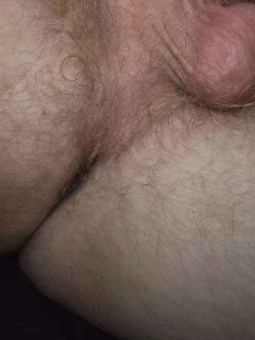 Morning taint/hole. by KinkTwinkOtter