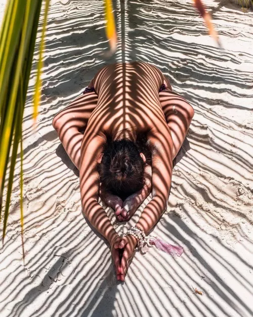 Palm Shadows by jayrm77