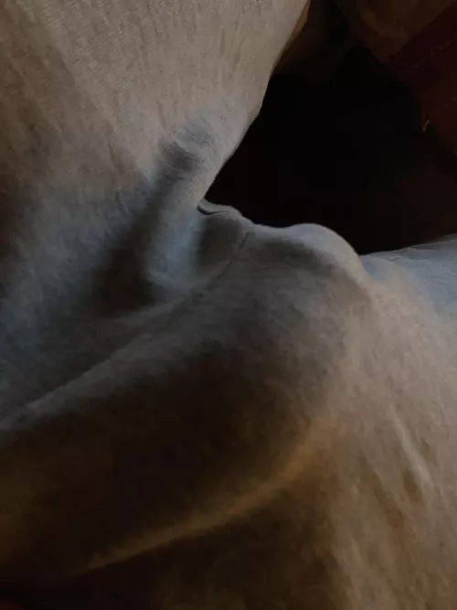 Penis by Medical_Bus_9954