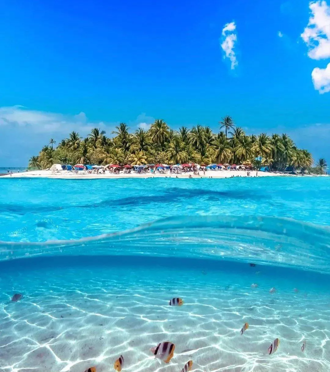 San Andres, Colombia posted by secretbunnysexy12