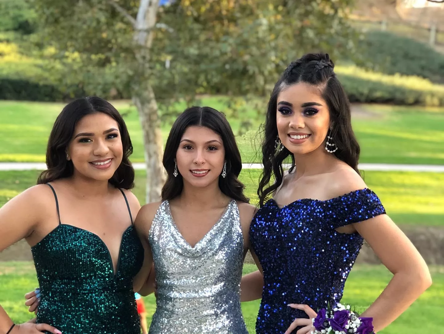 Sorority Formal Girls [3] posted by StatisticianFine1187