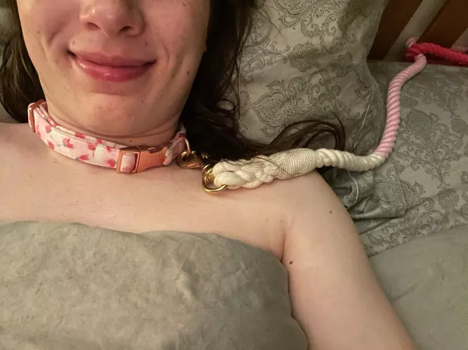 Spending the night collared and leashed to my headboard by JustAnotherBBratsAlt