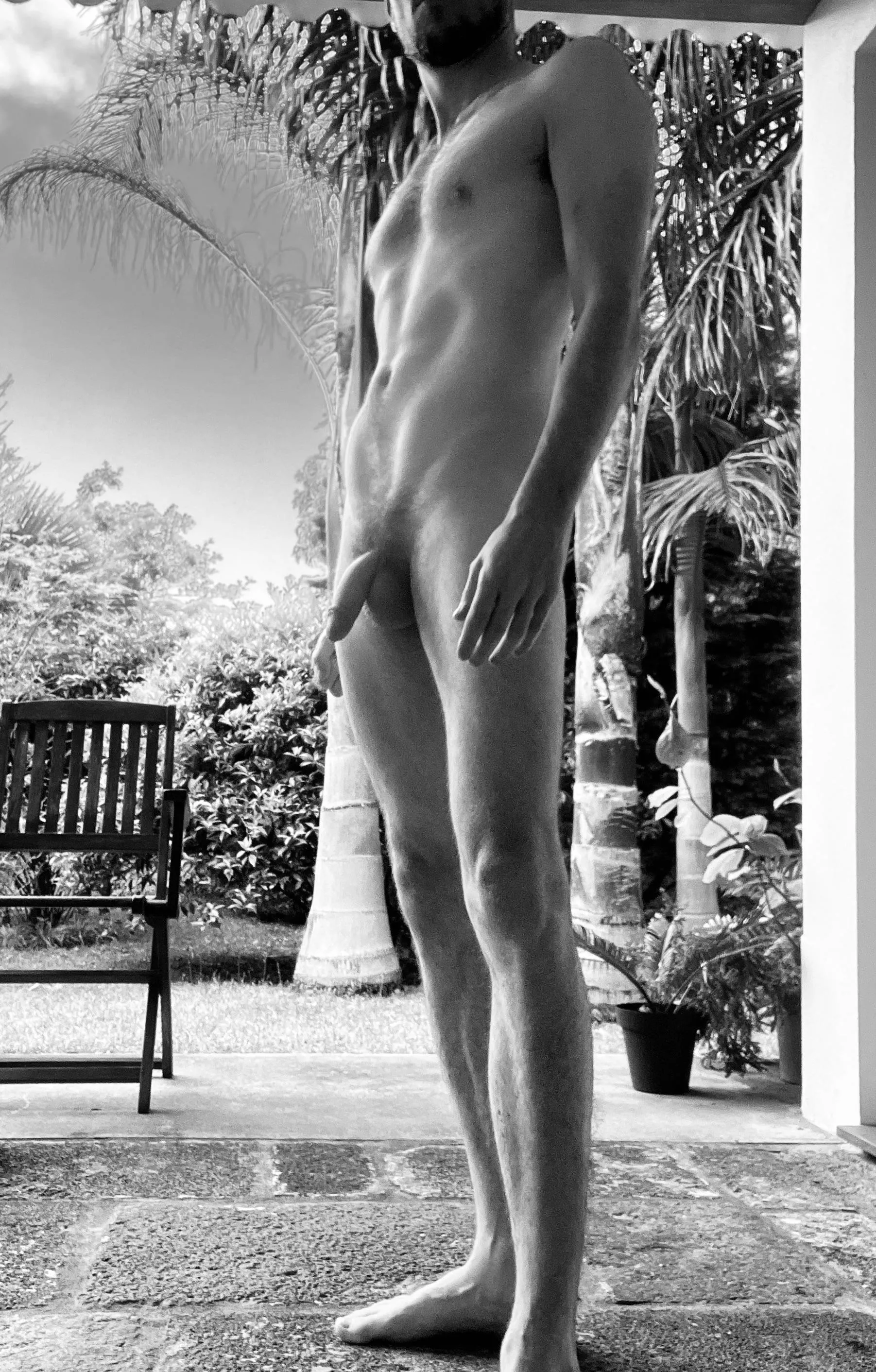 Tropical garden life posted by nudographer2888