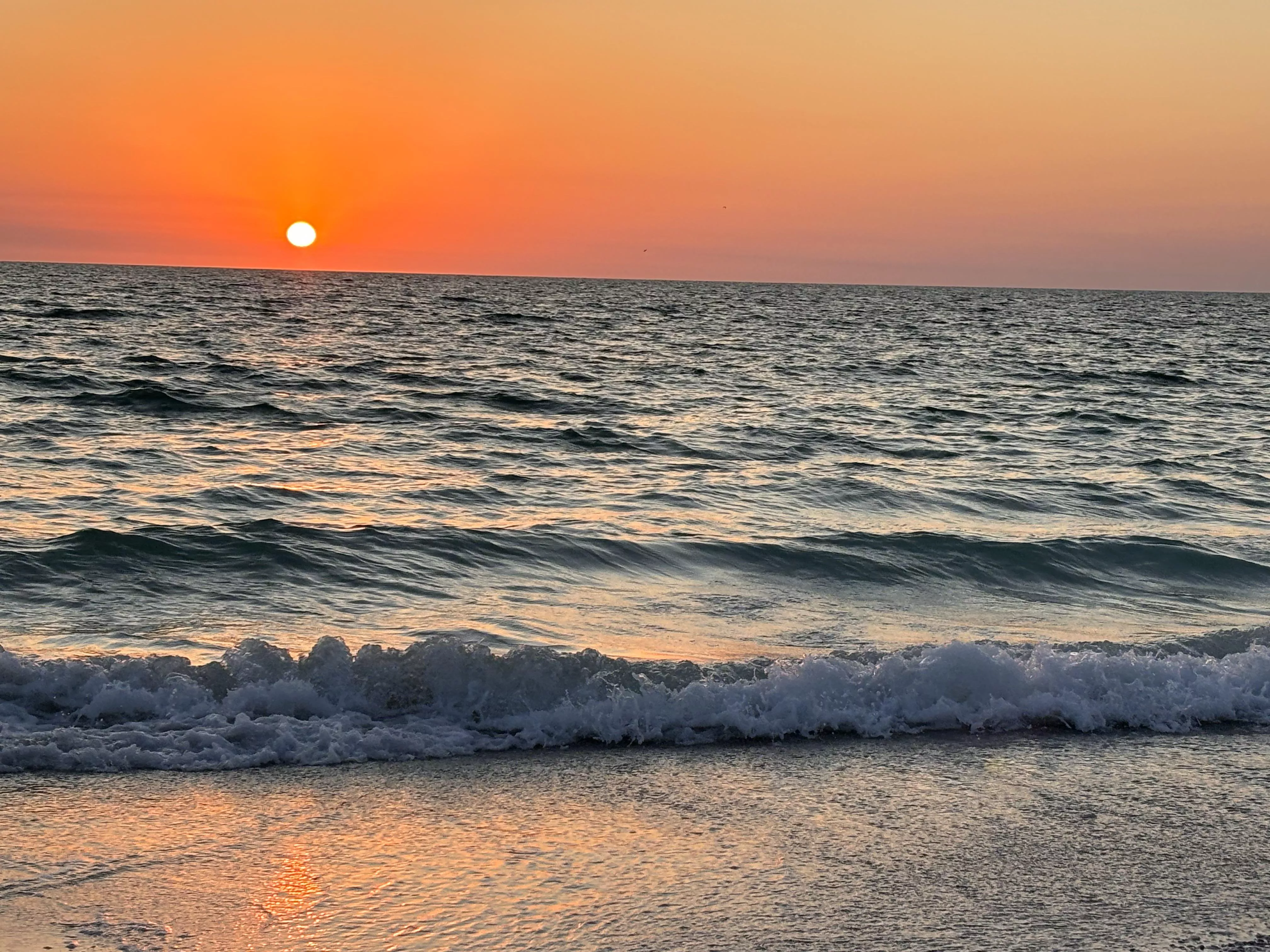 What heaven must look like posted by goldensaffires