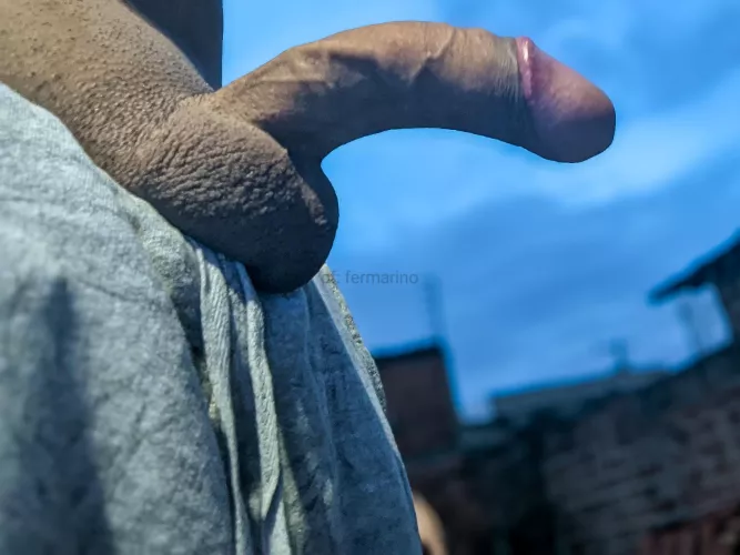 What would you do if I was your neighbor? by Fer_Marino