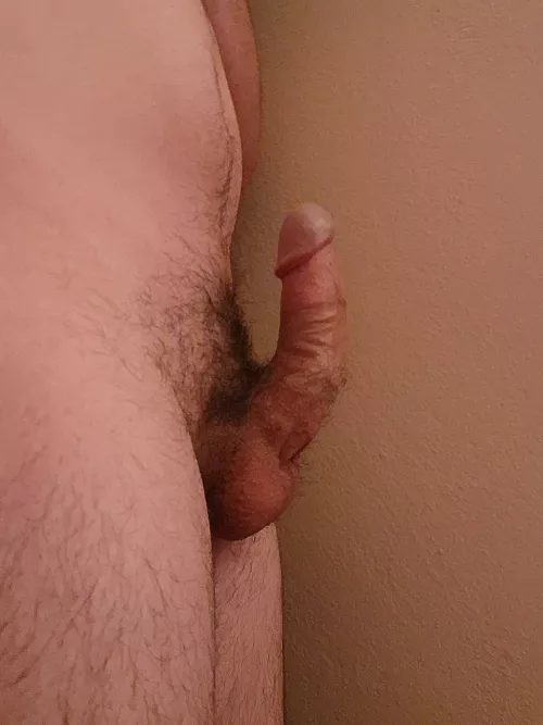 You like? by Away-Egg-6259