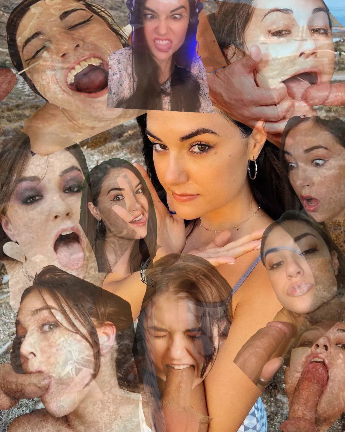 A quick visual summary of Sasha Grey’s face  posted by BigMcLargeHuge90