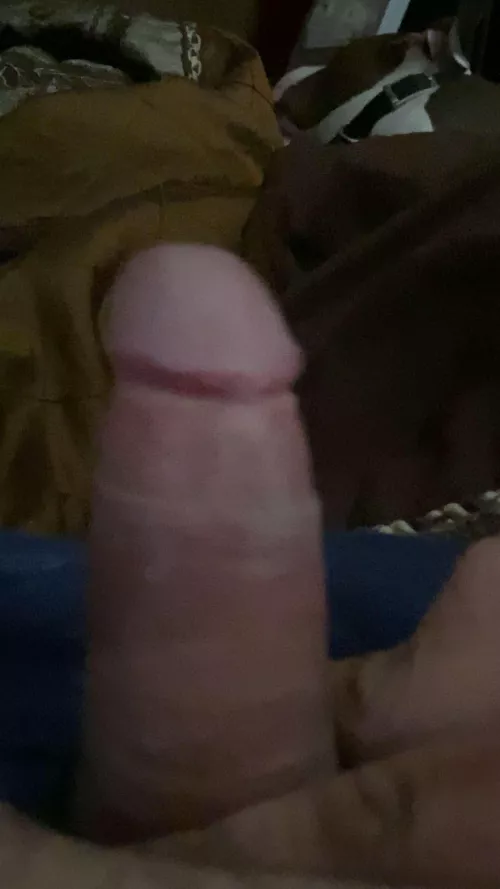Any girls into 3 incher pinchers? Latino BHM by Then_Ad499