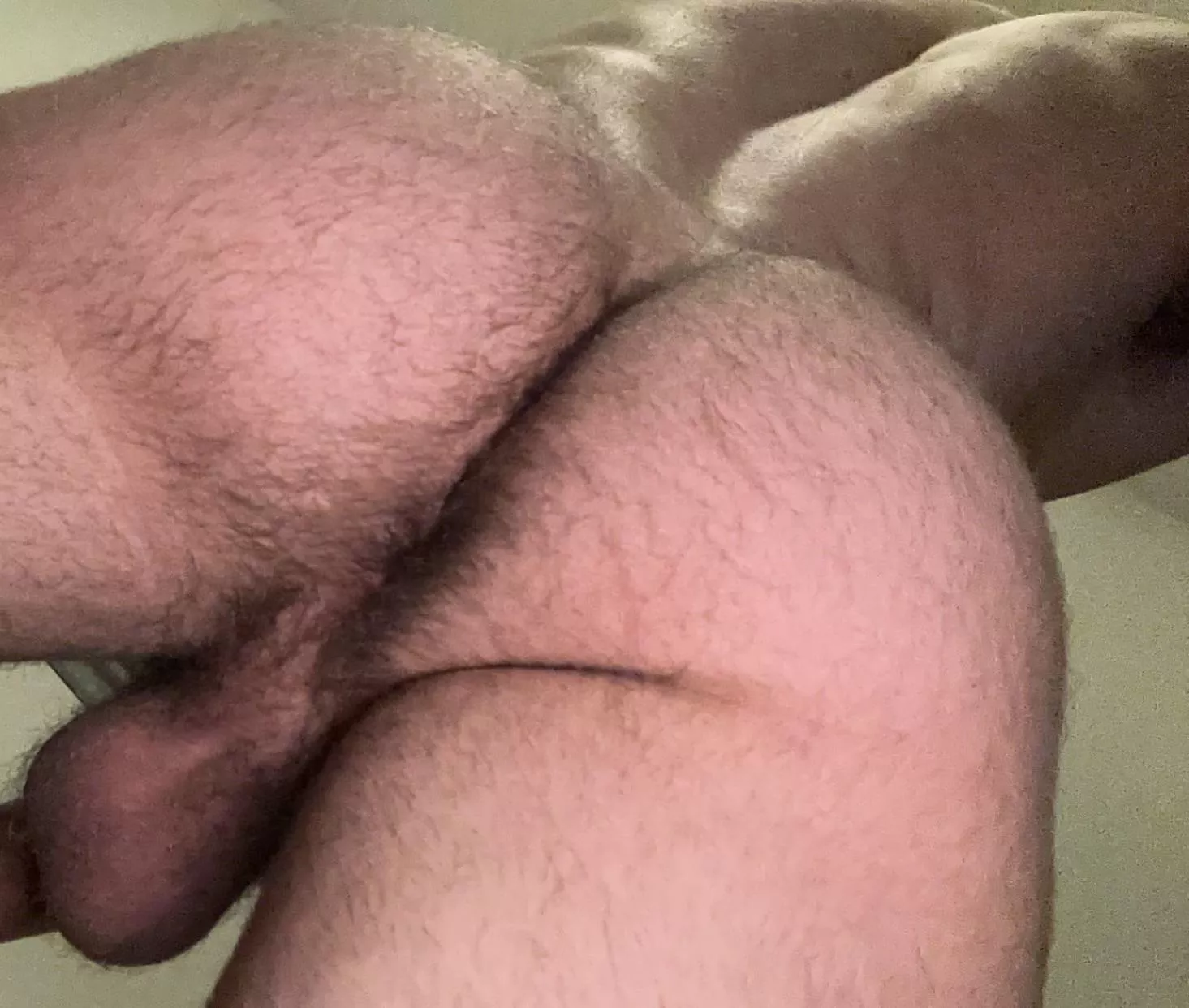 Anyone have a face I can sit on? posted by ElsaGermaineRiley