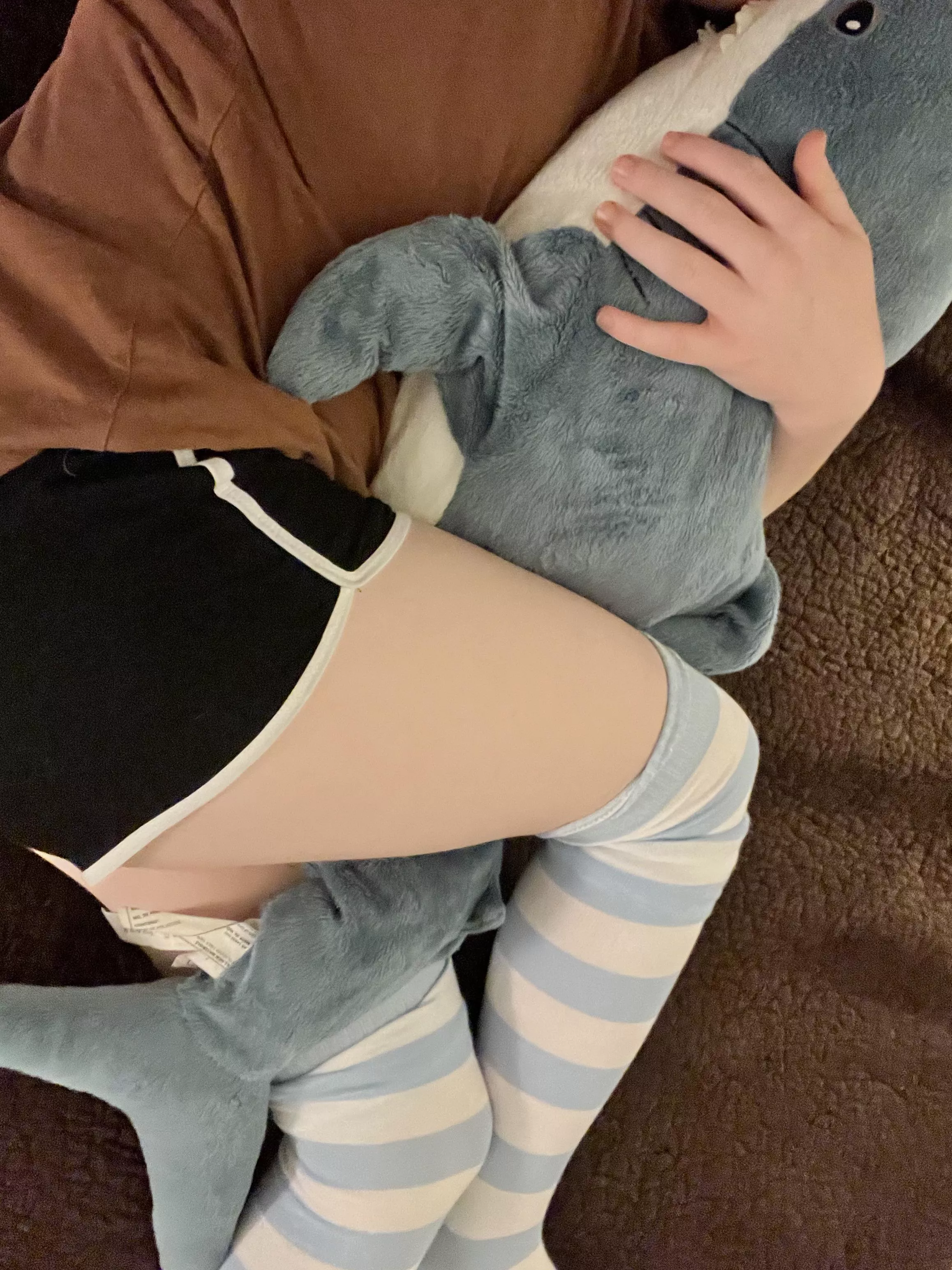 Cuddling with blahaj 🫶🏻🫶🏻 posted by alexgarcia24483