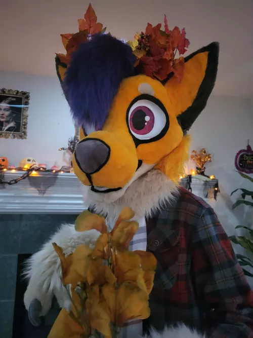 Daily fursuit posting by Onedeadlymouse