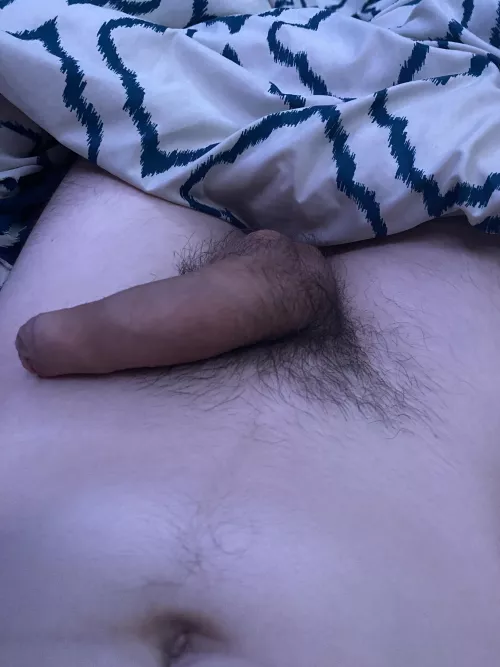Do you like my soft cock by Dry_Conversation7669